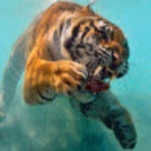 Meet your Posher, Maribel